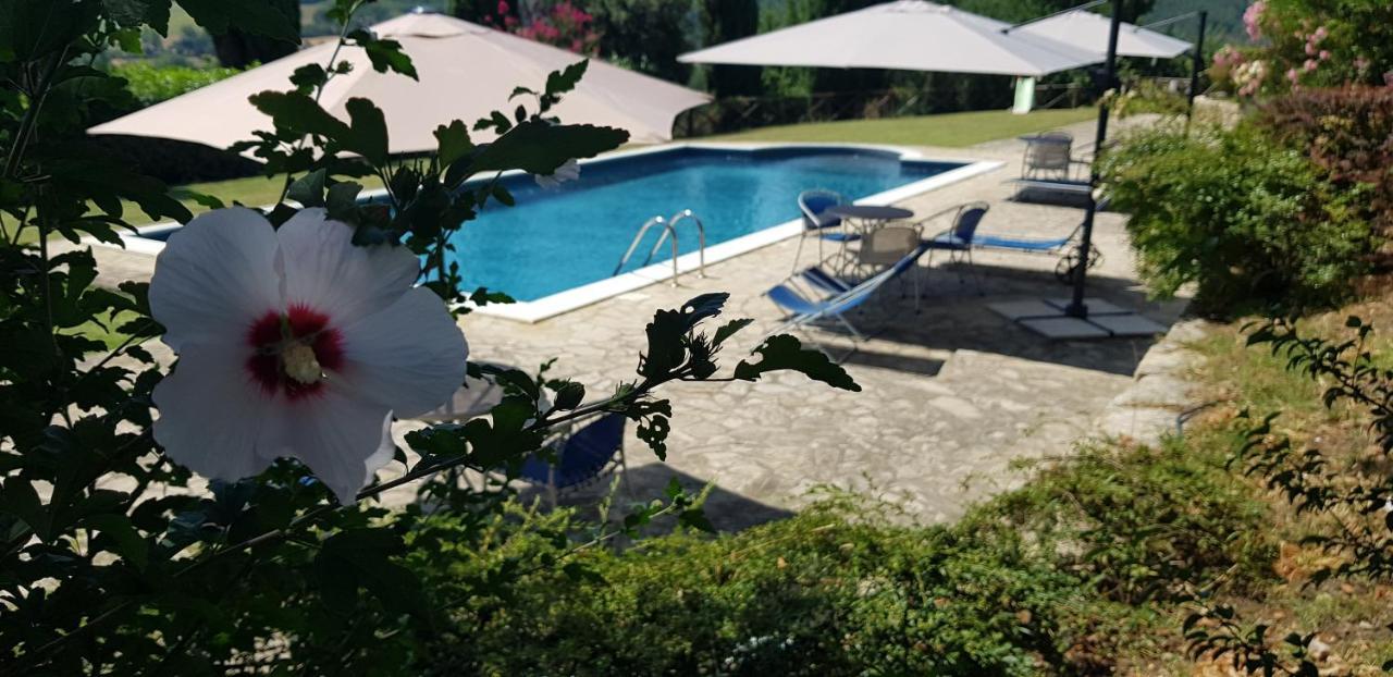 Case In Campagna Con Piscina A Todi Esterno foto